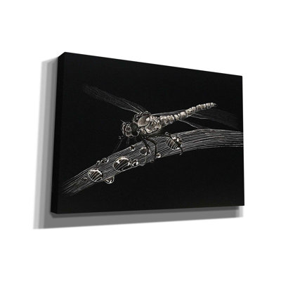 «Dragonfly» par Avery Multers, impression sur toile tendue