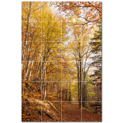Photo d'automne 8 x 8