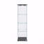 Display Cabinet, Modern Antique, Glass, With Led Lights, Quick-Assembly, Tempered Bookshelf