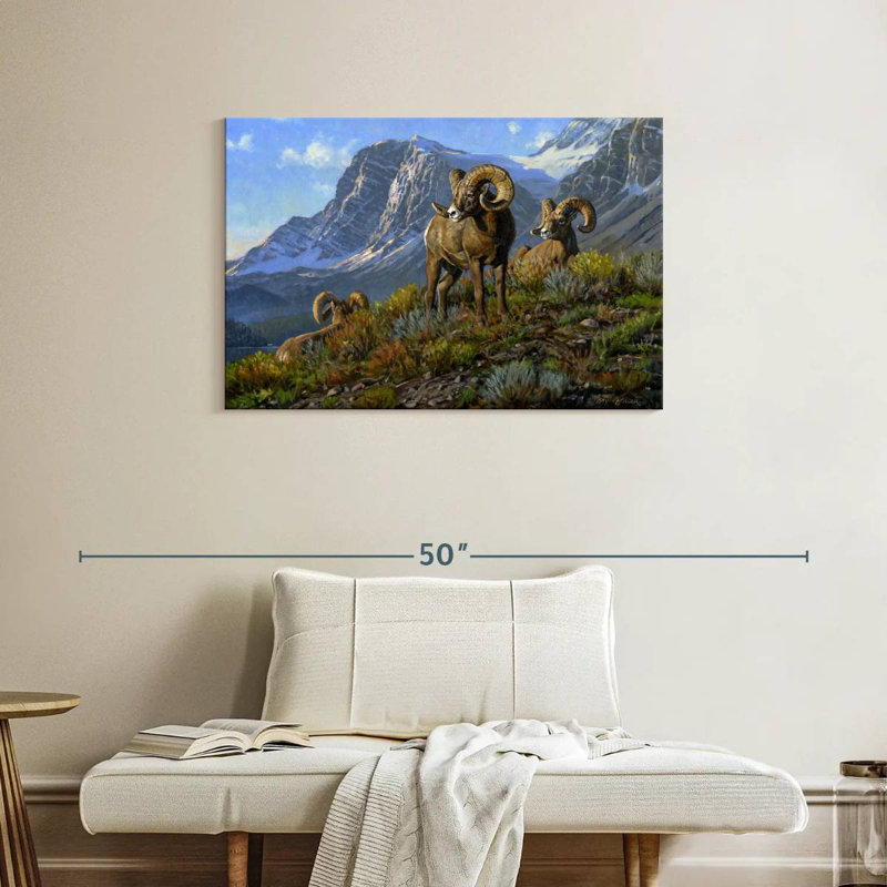 Rams, 24" H x 36" W