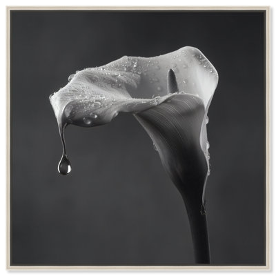 Midnight Rain Graphic Art Canvas