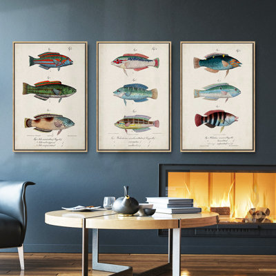 " Antique Fish Trio I " 3 - Pieces