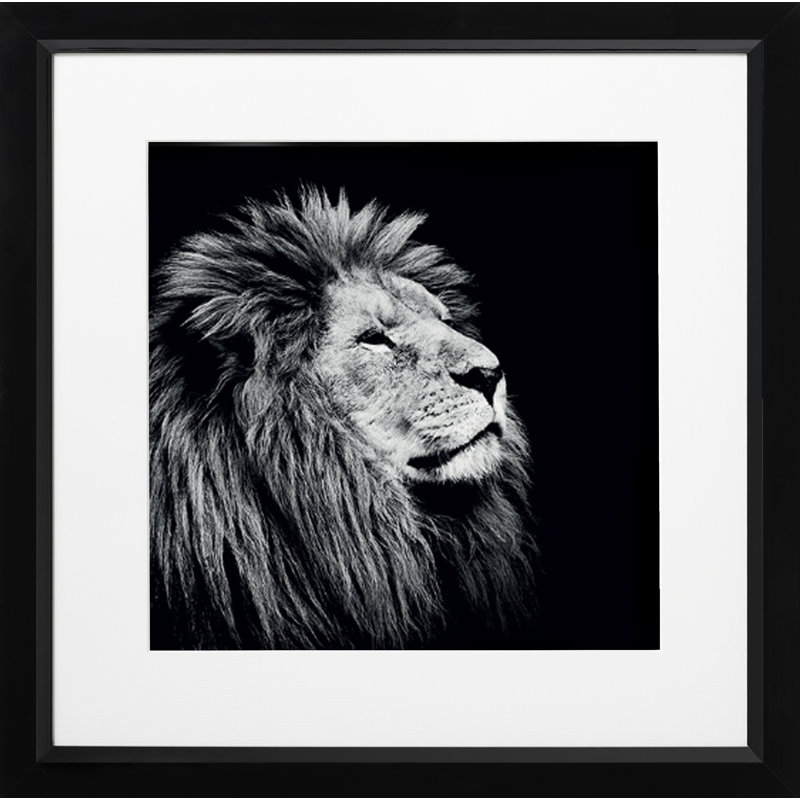 Single Picture Frame Print