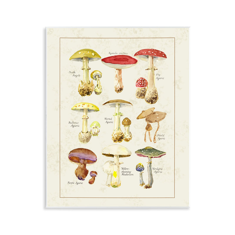 Plaque murale variée de divers champignons, design par Tina Higgins Designs Inc.