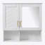 Armoire de salle de bain avec miroir, armoire de rangement murale avec tablettes réglables, portes à fermeture en douceur-46755163