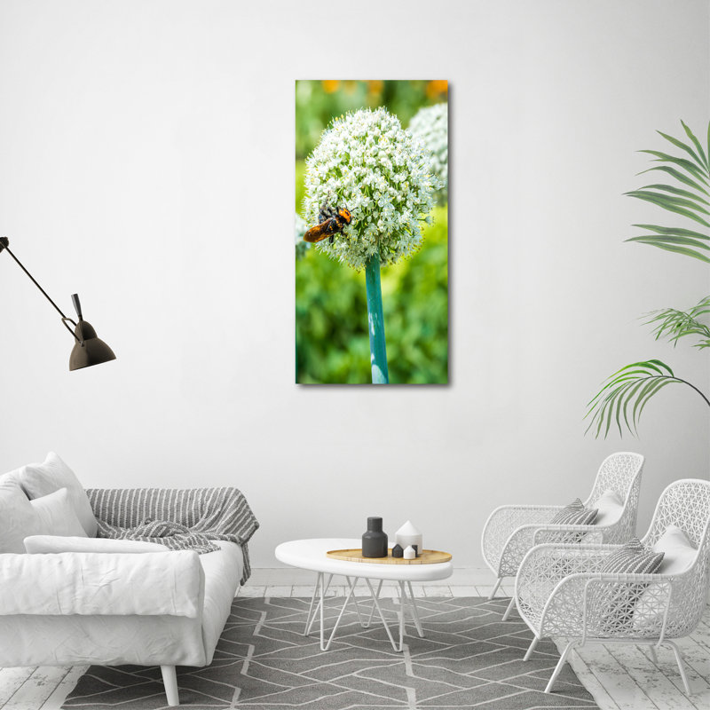 Garlic Flowers - Wrapped Canvas Print