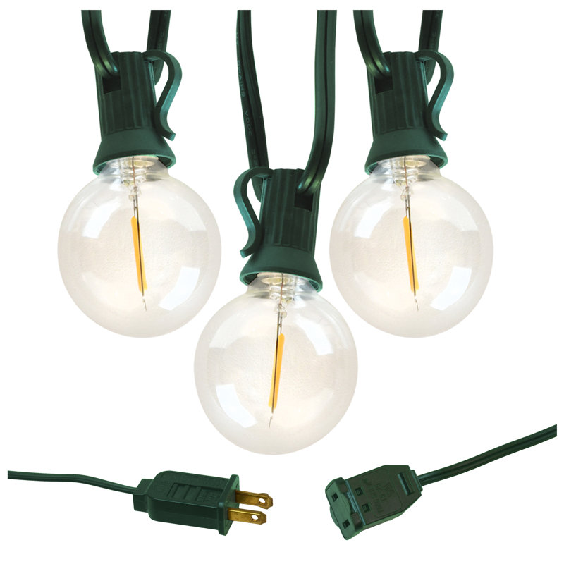 Bailey-Mai Electric LED Globe String Lights with 25 Clear Bulbs