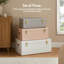 3 Piece Accent Trunk Set