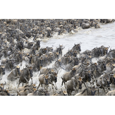 Fortunato Wildebeest Crossing Mara River 1 Piece Wrapped Canvas Wall Art