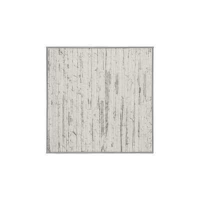 Tapis gris soyeux et moelleux