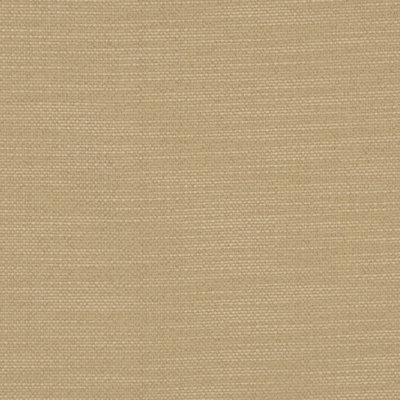 Time Keeper Fabric