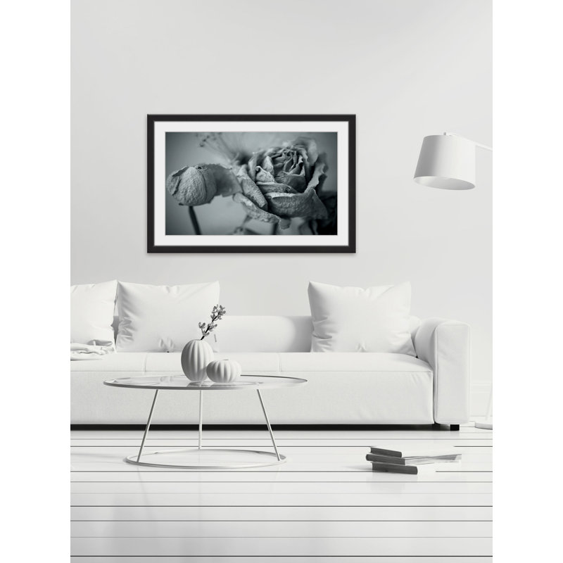 Judy Stalus - Single Picture Frame Print, 41cm H x 61cm W x 3.81cm D