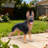 Outdoor German shepherd Dog Statue