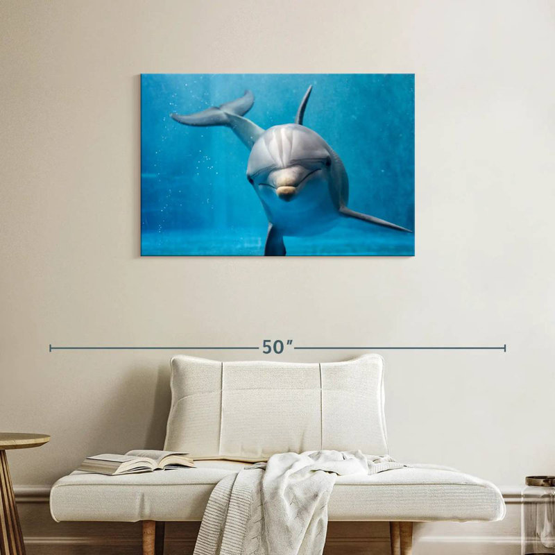 Brampt Friendly Dolphin
