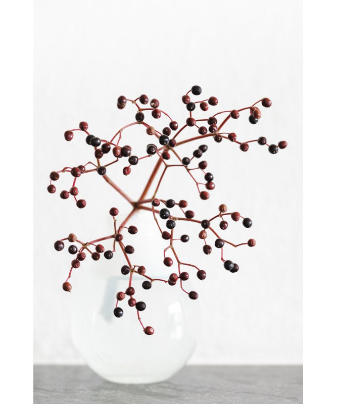 Wrapped Canvas Print, 76.2cm H x 50.8cm W