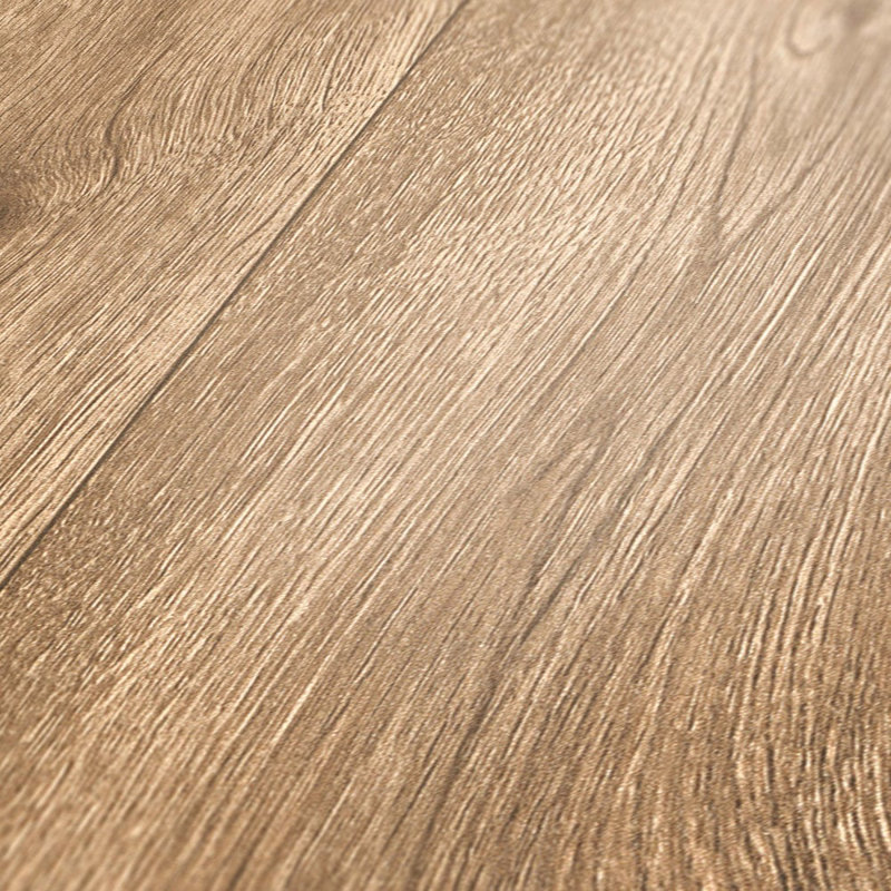Woods and Wicker Collection Knotted Forest Wood Effect Wallpaper Roll, Beige