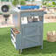 Chariot de barbecue extérieur 40,5 po avec plateau en acier inoxydable