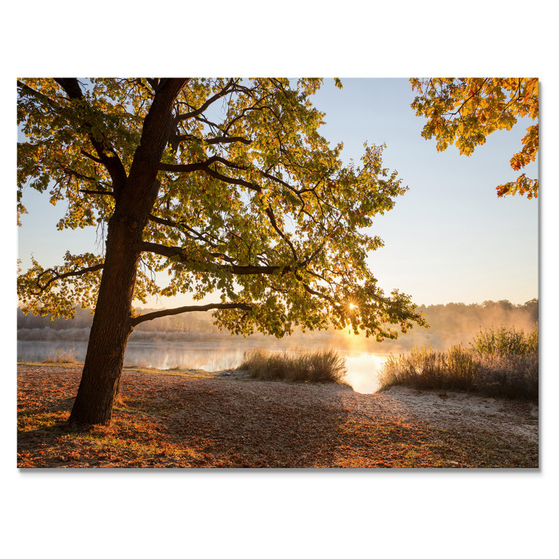 «Sunrise On Autumn Trees By The Lake II», œuvre d'art traditionnelle sur toile, H 8 po x l 12 po, Toile tendue