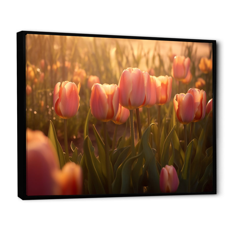 " Tulip Field ", 30" H x 40" W x 1.5" D, Black Floater Framed