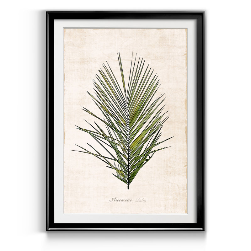 Palm Botanical I - Reproduction d'art graphique sur papier encadré, H 18,5 po x l 24,5 po x P 1,5 po, Noir