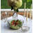 Celebration 11oz. Stemmed Wine Glass