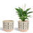 Charnece Ceramic Succulent Flower Plant Pot , Indoor Planters , Decoration for Home, Office