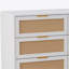 Commode de rangement en rotin à 6 tiroirs de 51,18 po Ayanna-547666476