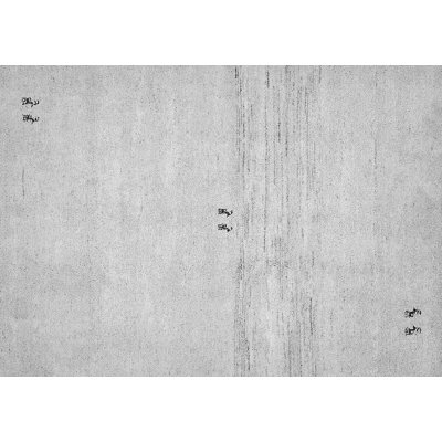 Vivioville Performance Indoor Rug