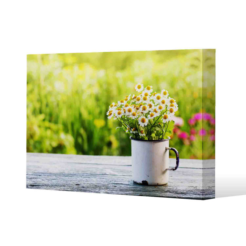Spring Daisies by Andrew Lee - Wrapped Canvas Print, 41cm H x 61cm W x 4cm D