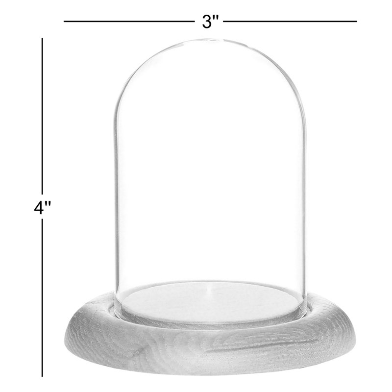 Cloche en verre 3 "x 4" Vucciria, Base en placage d'acajou foncé
