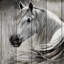 Rustic Horse Canvas - Charming Home Decor for Horse Lovers-1586961599