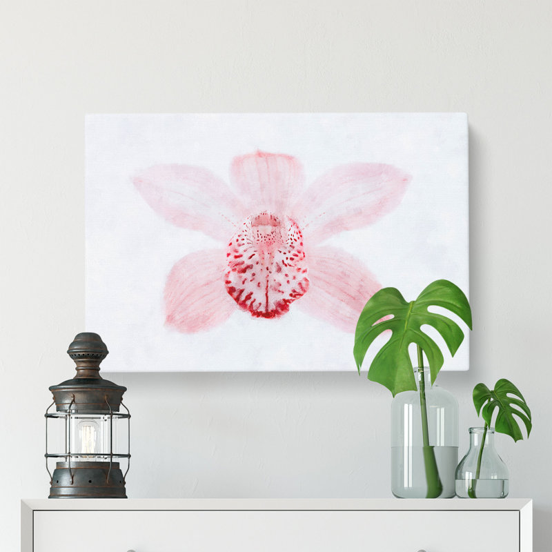 Light Pink Boat Orchid - Wrapped Canvas, 60cm H x 91cm W x 3cm D