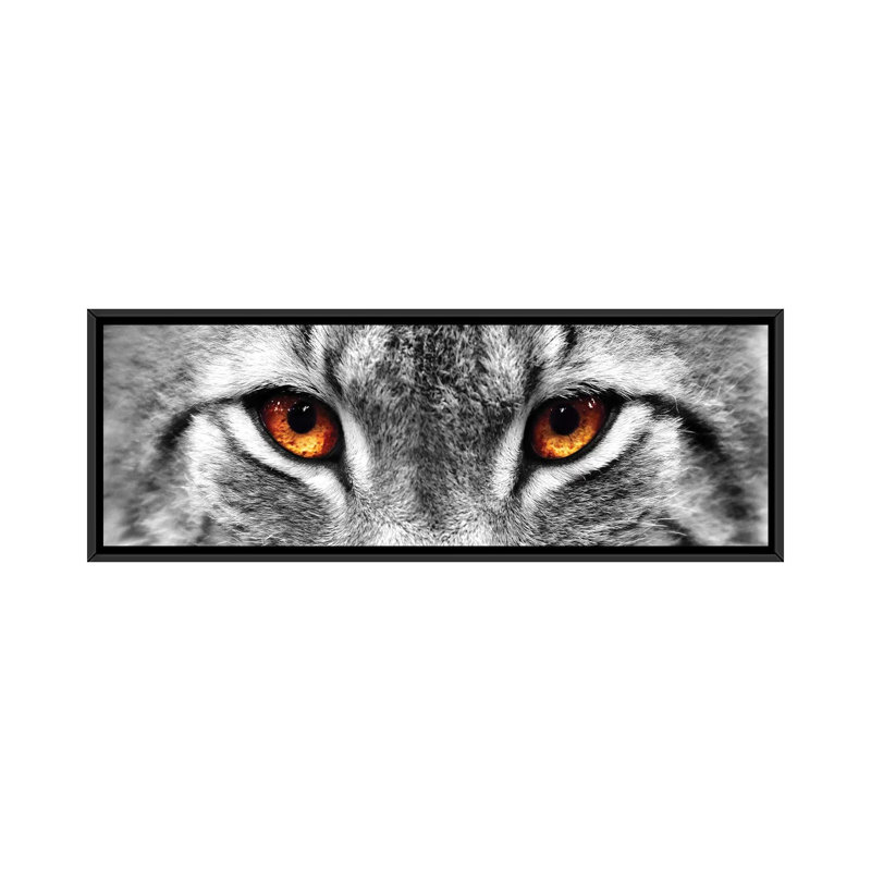 « lynx des yeux », reproduction de photo sur toile, H 12 po x l 36 po x P 1,5 po, Cadre noir