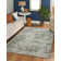 Livigno 1241 Transitional Striated Green Area Rug