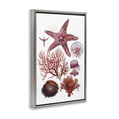 Rosy Undersea Creatures Floating Frame, design by Ramona Murdock