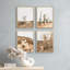 " Framed Desert Cactus Texas Arizona Set of 4 Landscape Wall Decor Prints " 4 Piece Art Graphic Art Print-93011942-93011945