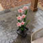 Multicolore, fontaine à fleurs à plusieurs niveaux avec lumières DEL Lark Manor ™