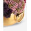 Solene Gold Sedum Arrangement