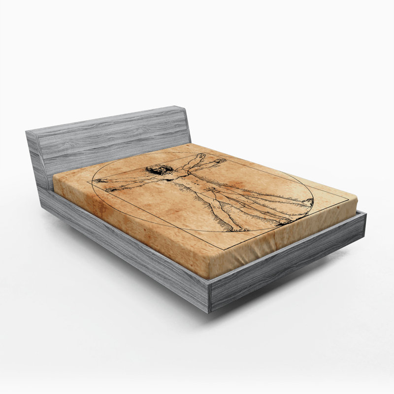 Drap-housse en anatomie humaine, Drap-housse grand