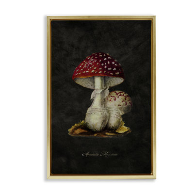 Toile flottante champignon rustique par Tina Higgins Designs, Inc.