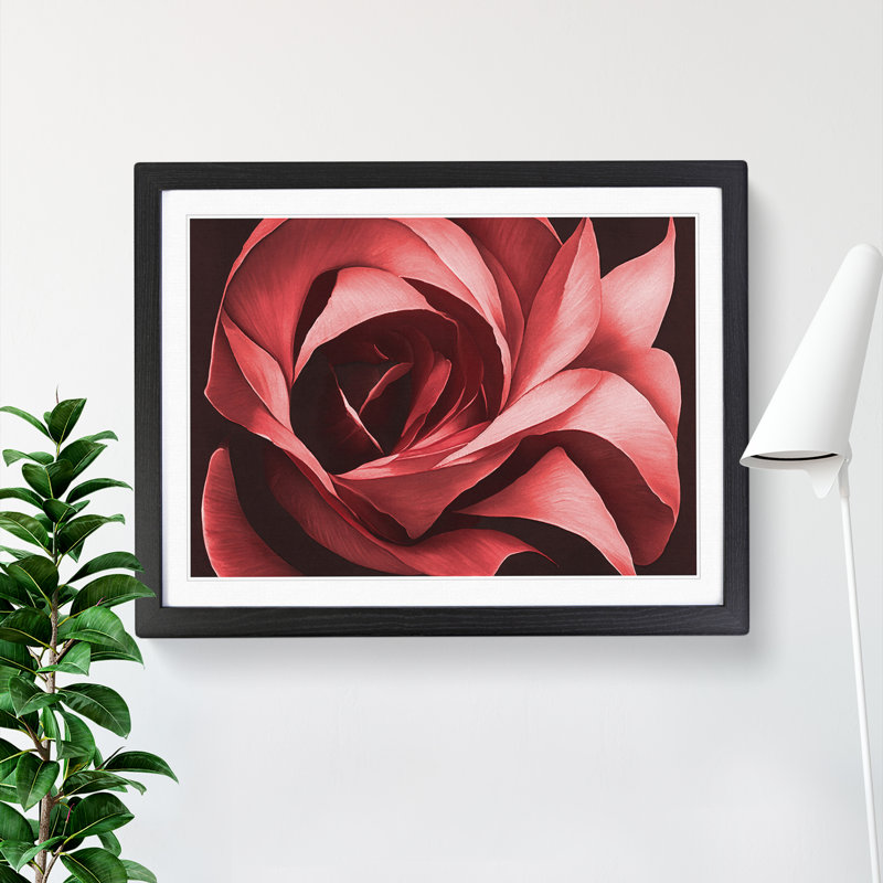 Desirable Rose Flower - Single Picture Frame Print, Black, 25cm H x 34cm W