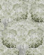 Gray/Green/White