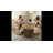 Extendable Round Dining Table