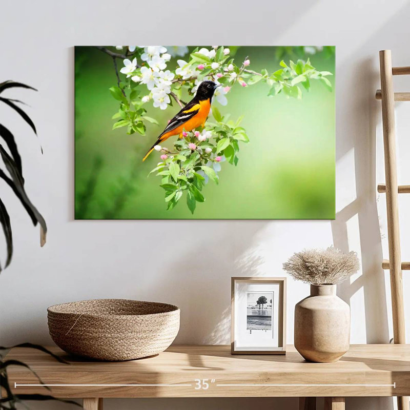 Brampt Oriole, 16" H x 24" W