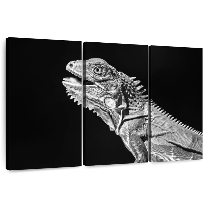 Monochrome Iguana, 48" H x 74" W
