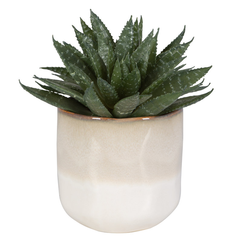 10.5'' Faux Succulent in Ceramic Pot