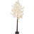 Lighted Christmas Tree