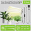 Support pour plante Verdure