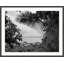 Thai Palm' Framed Photographic Print on Glass