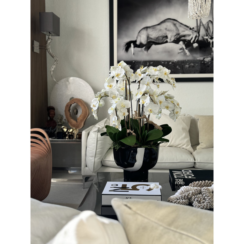 Orchidées blanches en cascade dans un bol Kempff noir et blanc